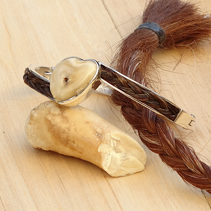 Armband paardenhaar en paardentand | sierdaden.nl