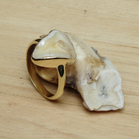 Ring 'Close to Oostwind'