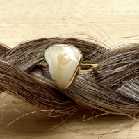 Ring 'Close to Oostwind'