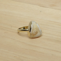 Ring 'Close to Oostwind'