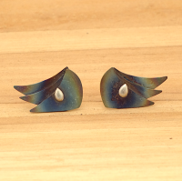 Titanium oorknoppen in kleur met zilver