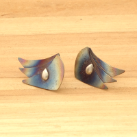 Titanium oorknoppen in kleur met zilver