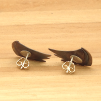 Titanium oorknoppen in kleur met zilver